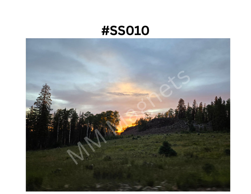 Scenic background pictures - 2"x3" Rectangular Magnets