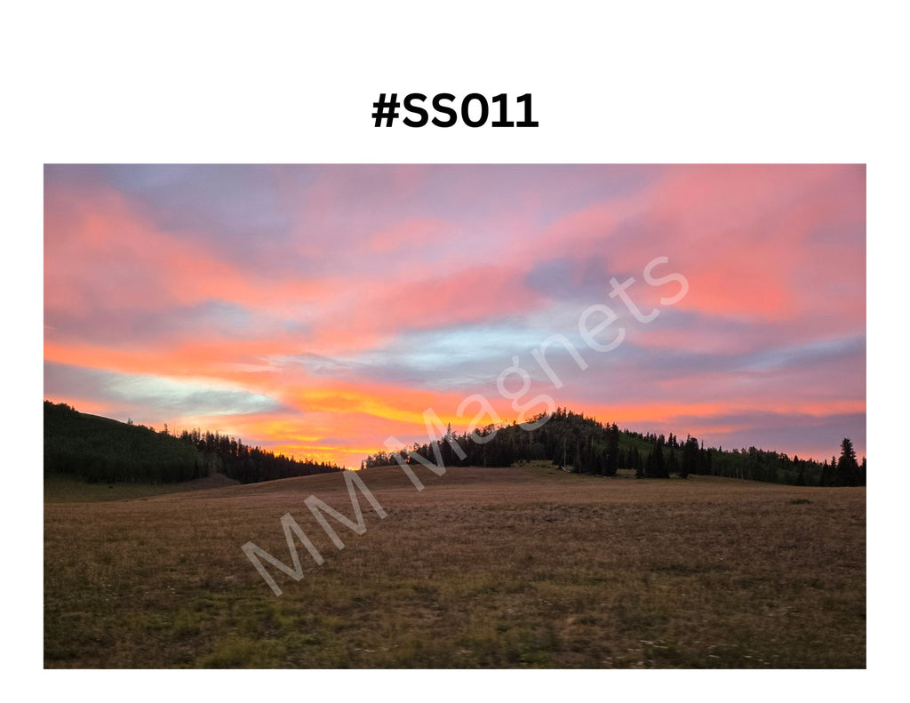 Scenic background pictures - 2"x3" Rectangular Magnets