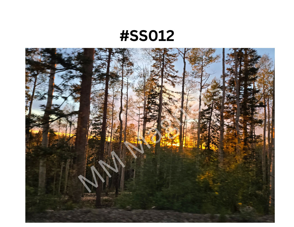 Scenic background pictures - 2"x3" Rectangular Magnets