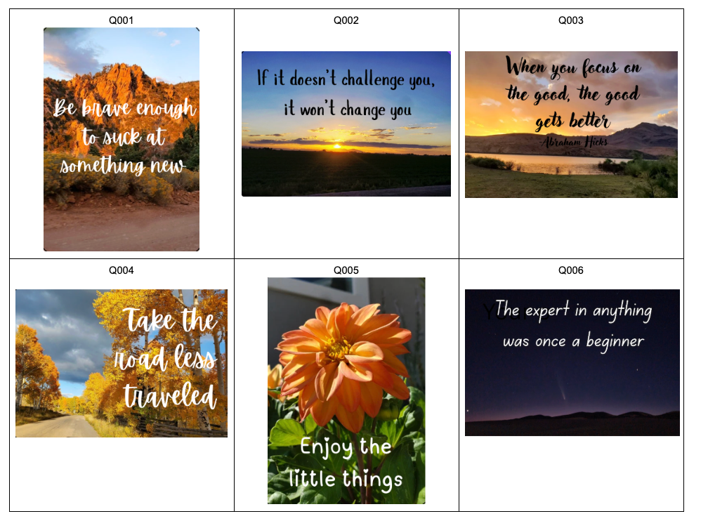 Quotes - 2"x3" Rectangular Magnets